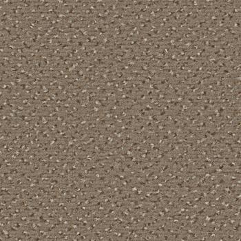 Quadrabild vom Alexis